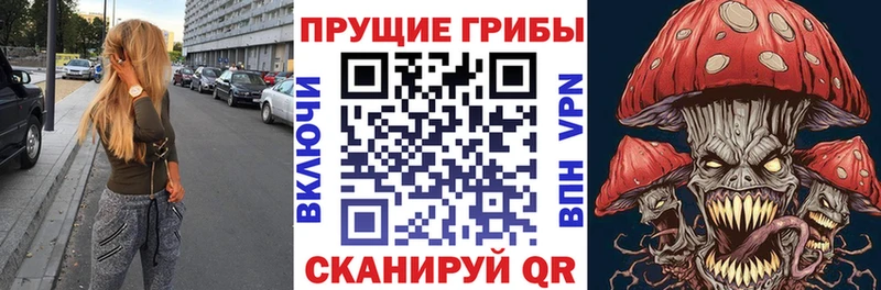 магазин  наркотиков  Шатура  Галлюциногенные грибы мухоморы 